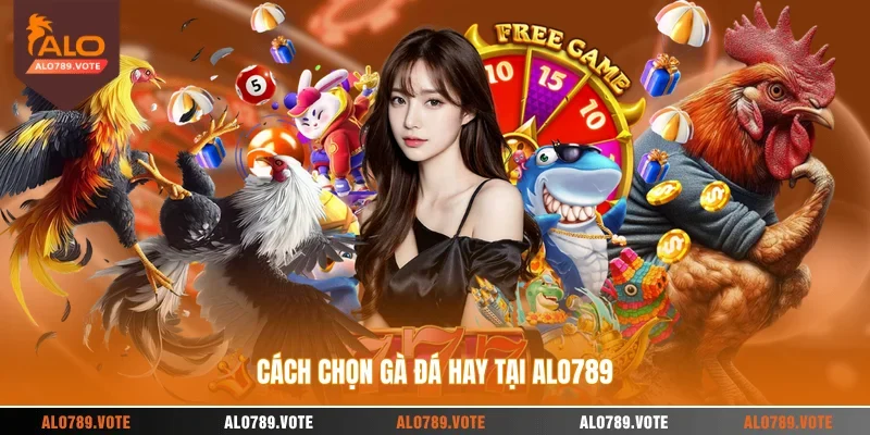 Cách chọn gà đá hay tại ALO789
