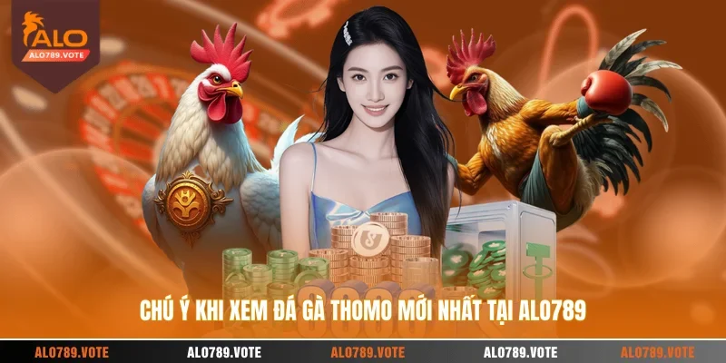 Chú ý khi xem đá gà Thomo mới nhất tại ALO789