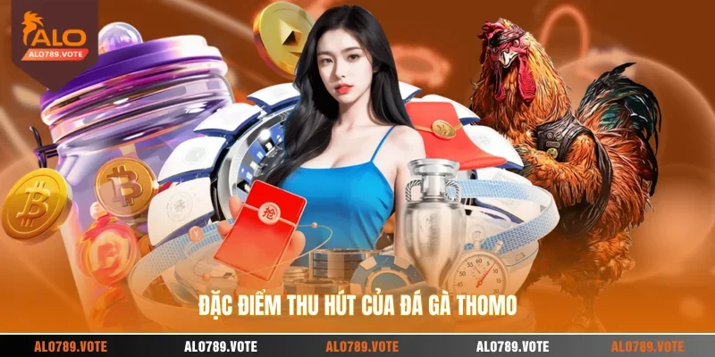 Đặc điểm thu hút của đá gà Thomo 