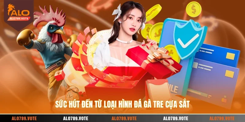 Sức hút đến từ loại hình đá gà tre cựa sắt