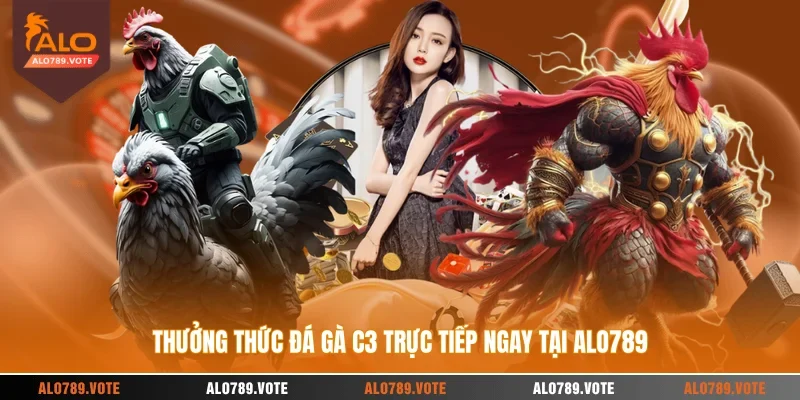 Thưởng thức đá gà C3 trực tiếp ngay tại ALO789